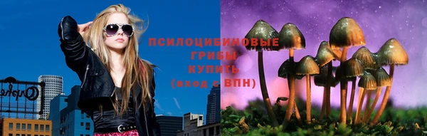 метамфетамин Богданович