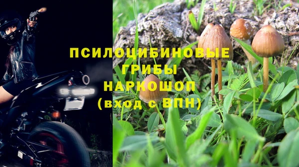 первитин Богородск