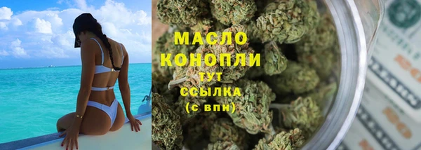 сатива Козельск