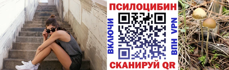 Псилоцибиновые грибы MAGIC MUSHROOMS  маркетплейс Telegram  Дедовск  наркотики 